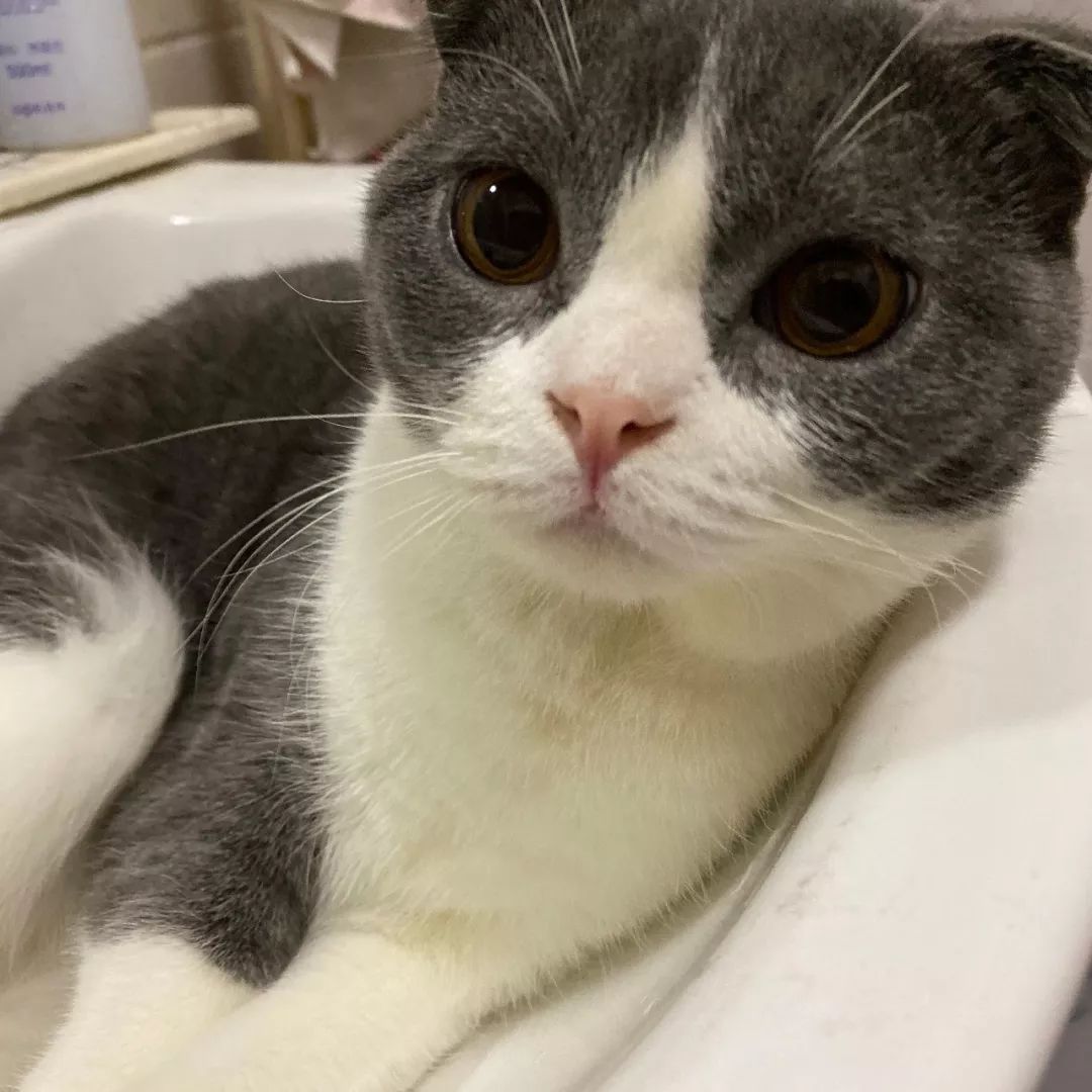 你和富豪的差距只差一个习惯,你和富人的差距只有一点