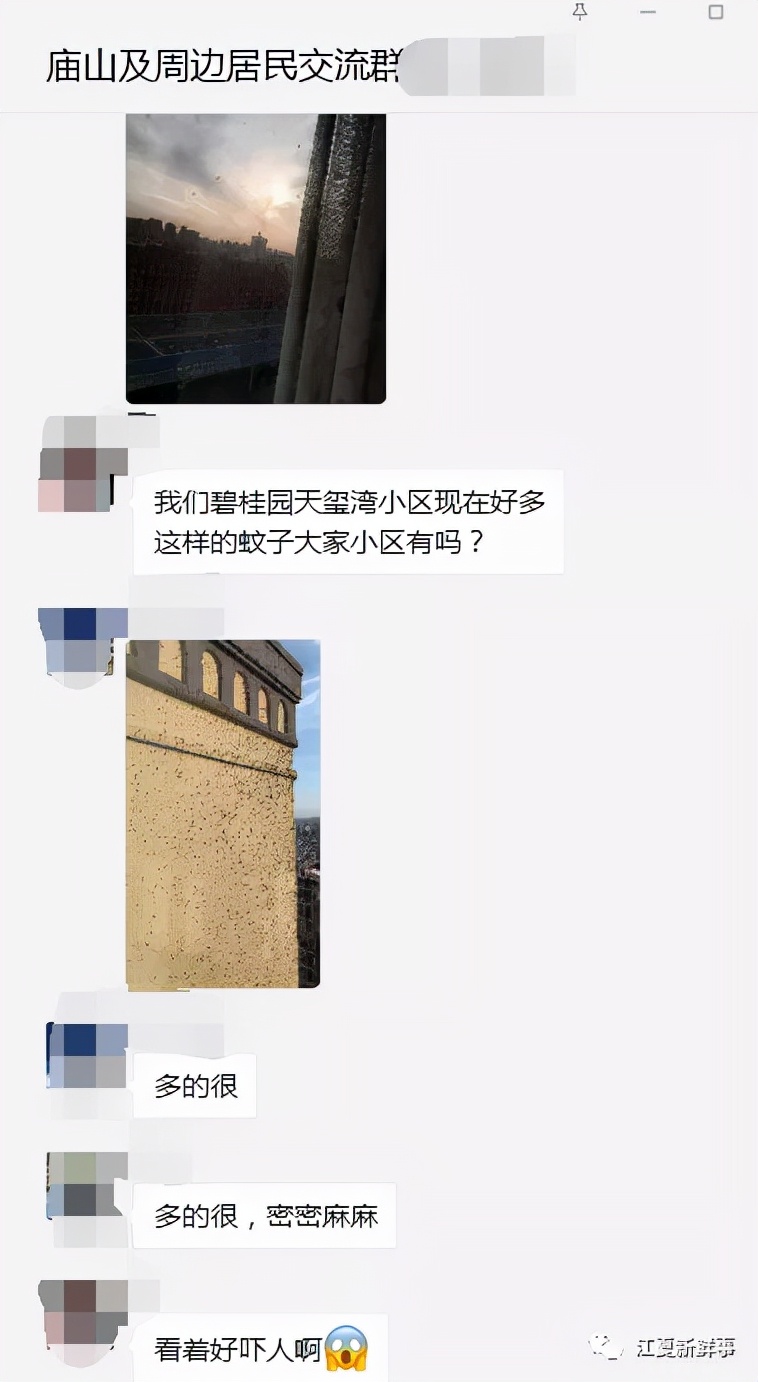 武汉汤逊湖畔的庙山，众多小区摇蚊密集扎堆！该如何治理？