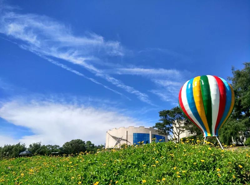 鐏北宀涙毚椋庨洦瑙嗛,鐏北宀涙毚椋庨洦