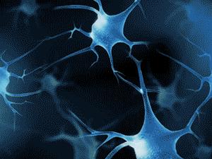 孩子爱走神、小动作多，父母要的解决办法全在这