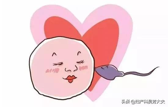 教你怎样掌握妇女的排卵时间,知道是否排卵最简单的方法