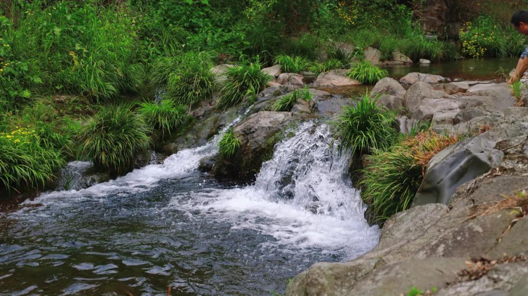 红色“吕”行，畅游溪口！