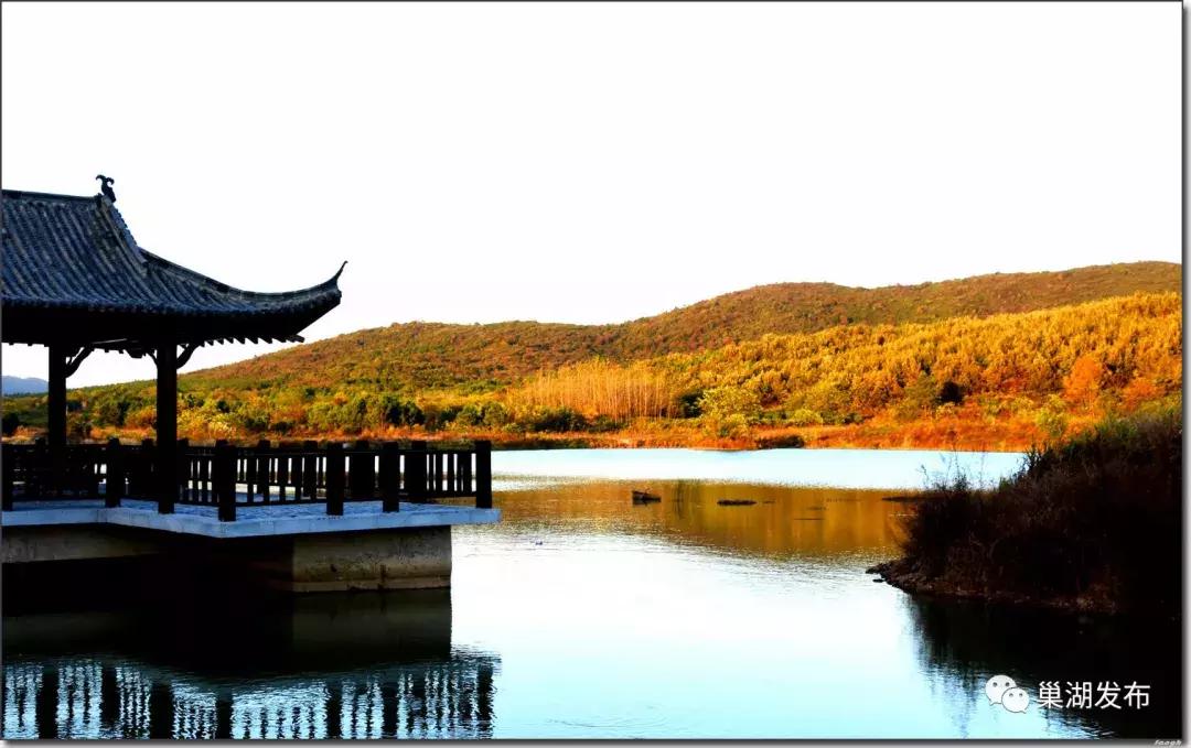 巢湖市半汤,半汤怎么做