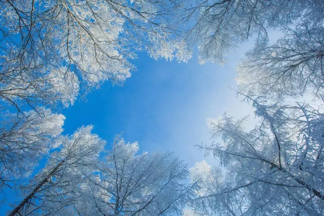 一首可爱的冬日小诗,20首冬日诗词分享