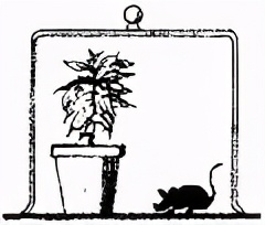 七上生物绿色植物的呼吸作用复习,高一生物必修一呼吸作用习题讲解