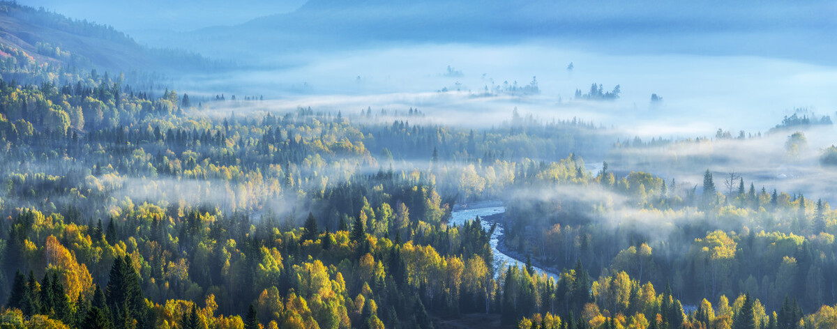 换手机哪个手机性价比最高,现在想换手机什么手机比较好