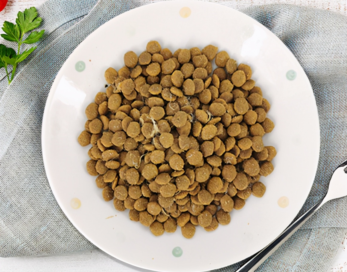 比熊泰迪狗粮推荐哪个牌子,比熊跟泰迪串串吃什么狗粮