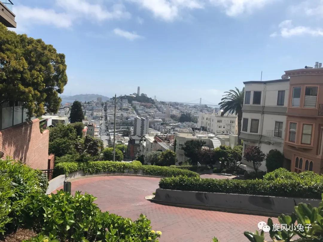 加州沿海1号公路,加州沿海一号公路一日游推荐