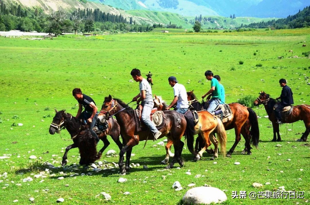 女孩辞职从广州去甘肃*疆新**旅行，途经敦煌哈密有惊无险的难忘经历