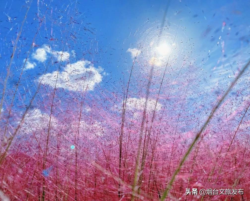 大自然打翻了调色板的唯美句子,烟台自然景点