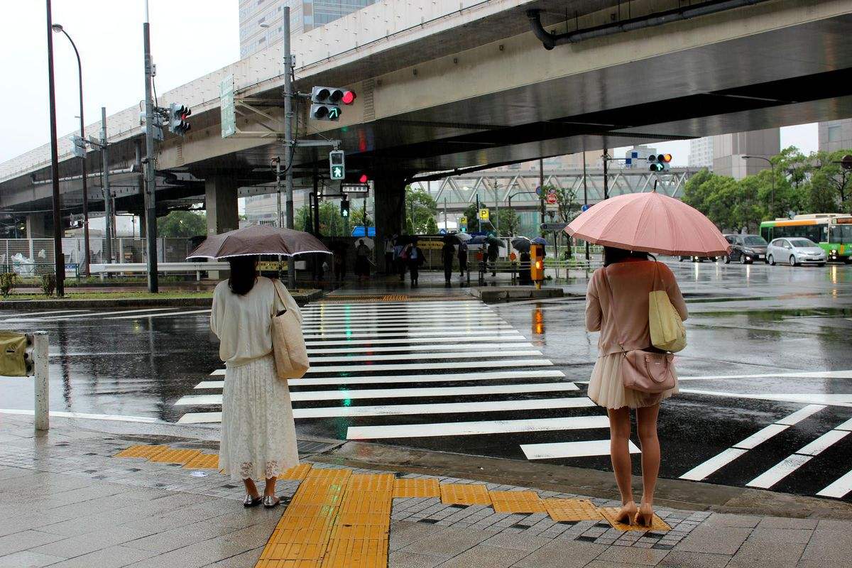 东京大学科研,东京大学科研实力