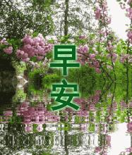 微信特好看早上好问候语表情图片,早上好微信问候语大全带表情包