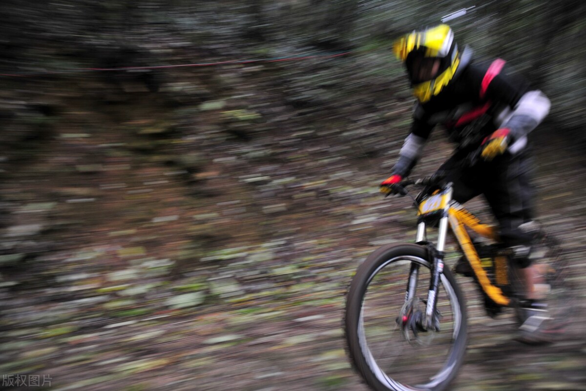孟晚舟在张家界,孟晚舟来张家界旅游全视频
