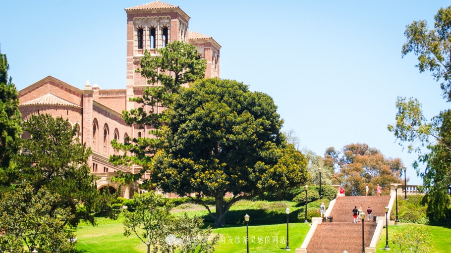 美国加州大学ucla录取条件,ucla加州大学洛杉矶分校女篮