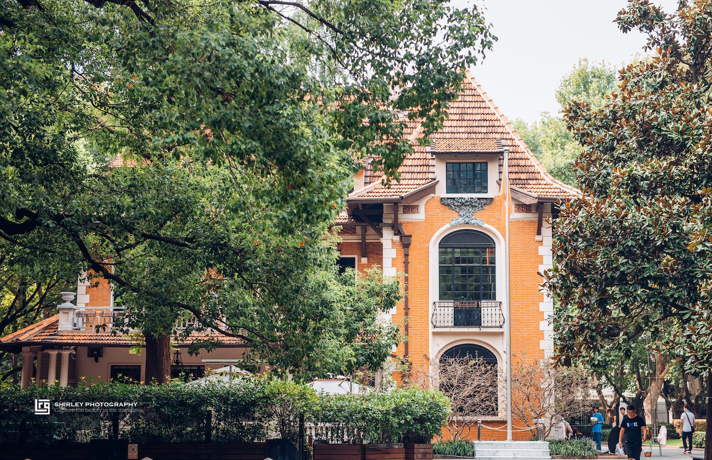 上海香榭丽舍大街,上海有一条东方的香榭丽舍大街