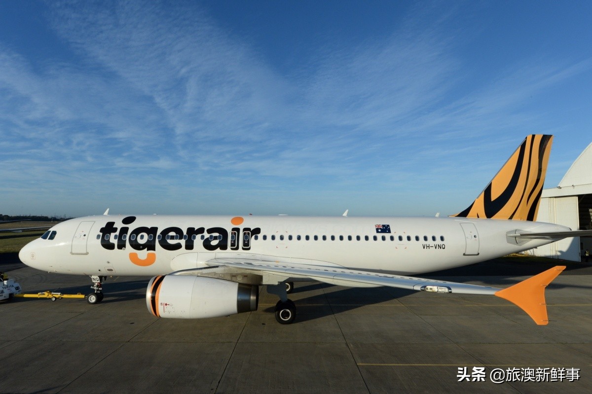 澳洲虎航停航怎么样,澳洲平价航空公司