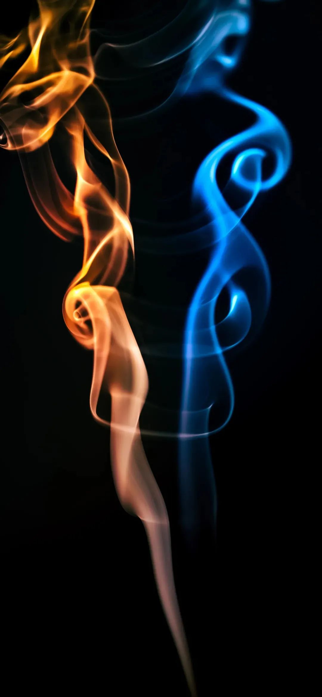 手机壁纸高清小美,细心专注认真的手机壁纸