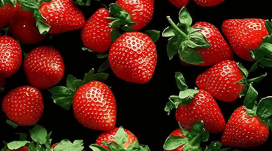 与永丰乐城相约一场“莓”好时光之旅