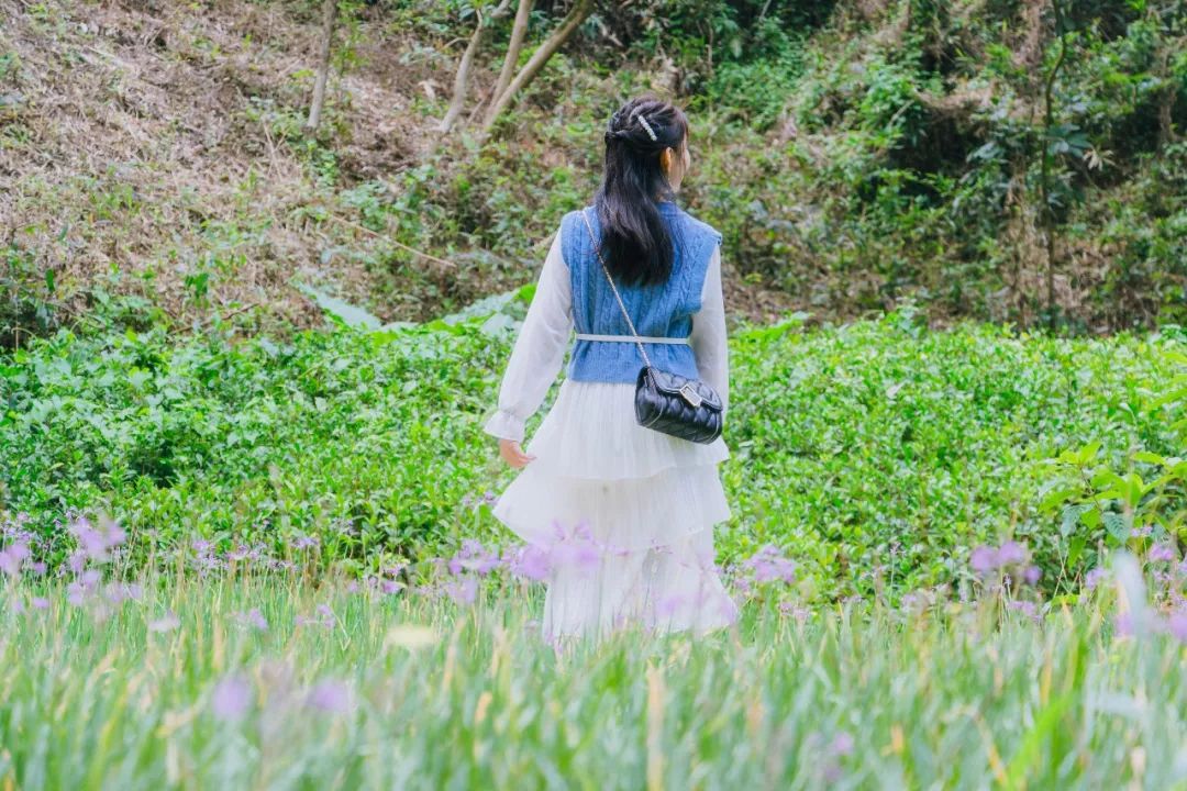 又发现深圳一个“绝美打卡地”!“淘金”绿道,人少免费