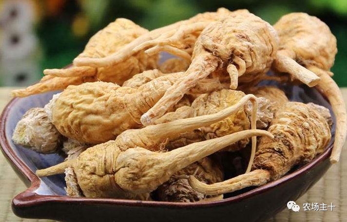 牛油果真的是骗局吗,牛油果背后竟然是个骗局