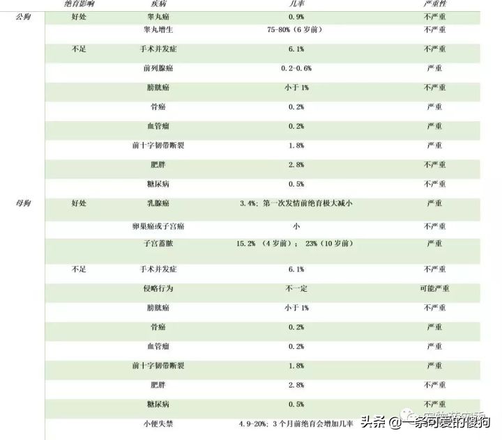 狗狗应该绝育吗?宠物绝育的好处弊端以及最佳时间