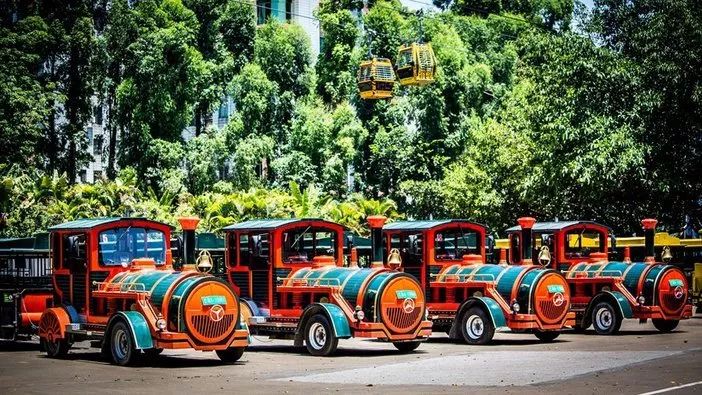 长隆野生动物世界暑假攻略,广州长隆野生动物园亲子一日游攻略