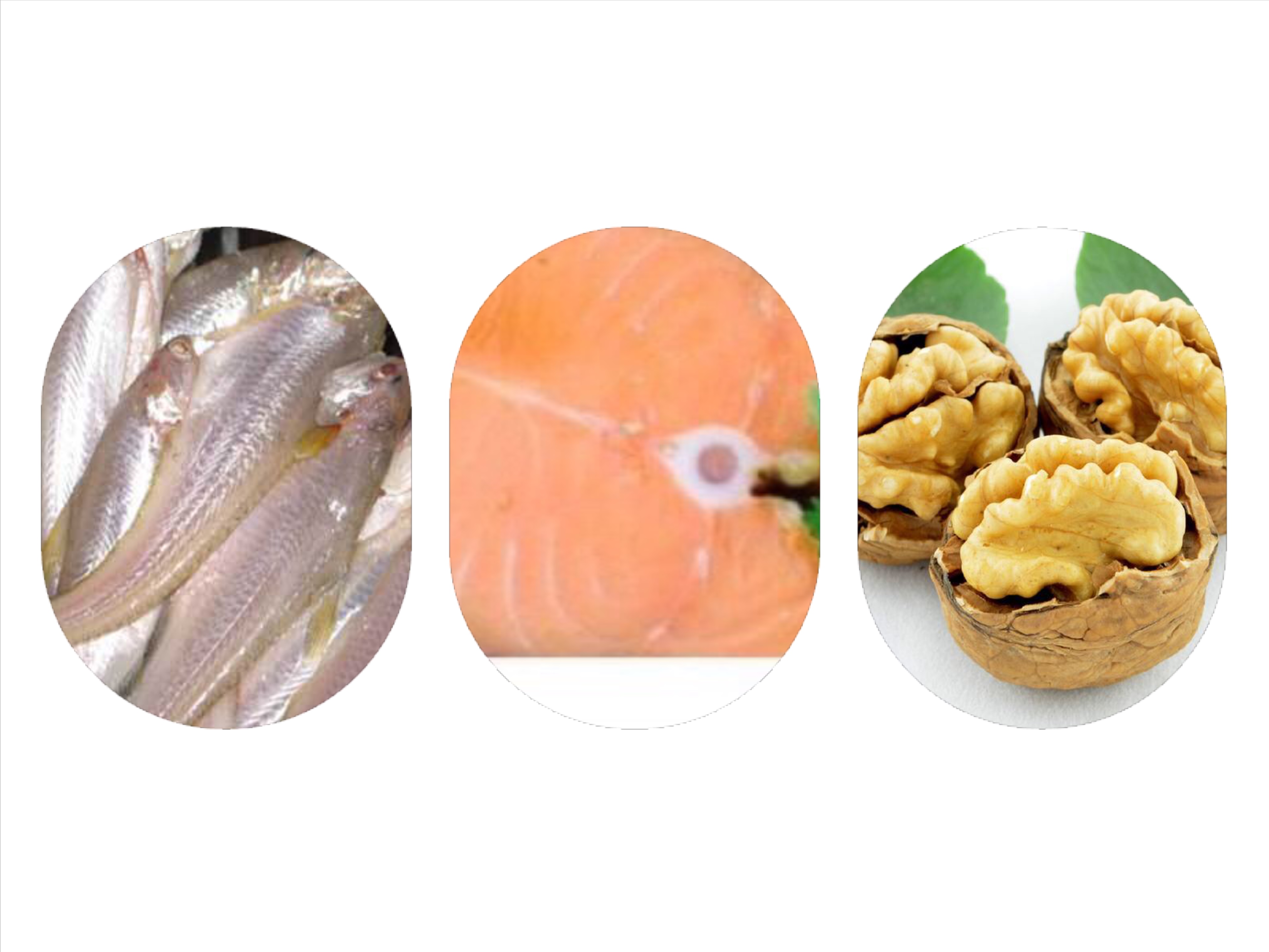 婴幼儿脑发育的八种营养,儿童生长发育补dha