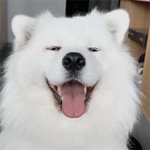 你真的看懂墨香三部曲台词了吗,三生三世枕上书到底讲了啥