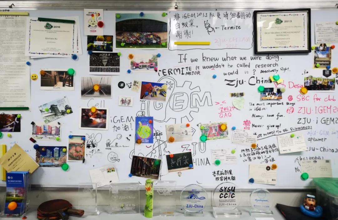 24小时hpv检测,10分钟居家自测hpv