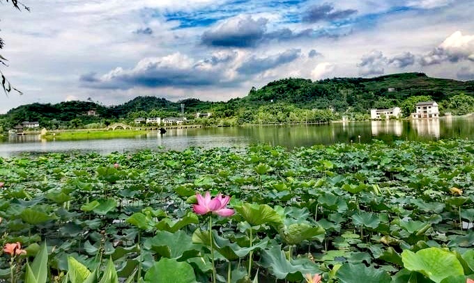 我的当兵之路800字,我的参军路