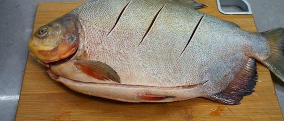 老妈红烧鱼秘方,正宗红烧鱼配方和做法