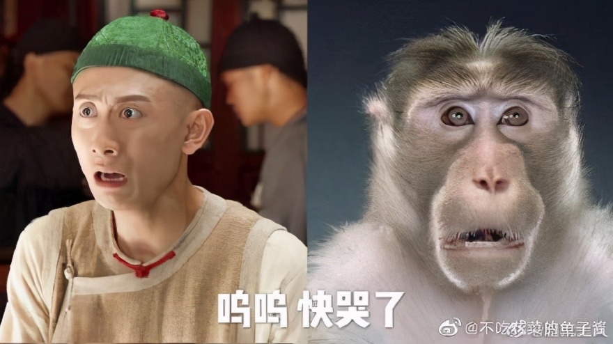 张一山鹿鼎记以后的现状,08版鹿鼎记结局