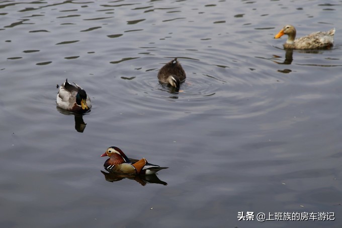 周末微旅行：秦望山麓访名校，白沙堤岸醉桃柳（第二季）