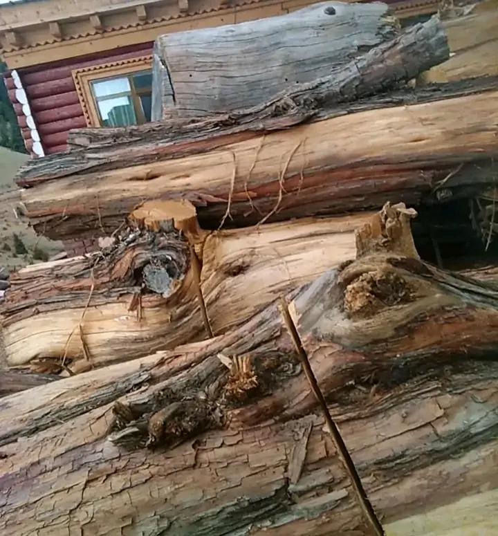 大学生去西藏支教的真实感受,真实的藏区支教