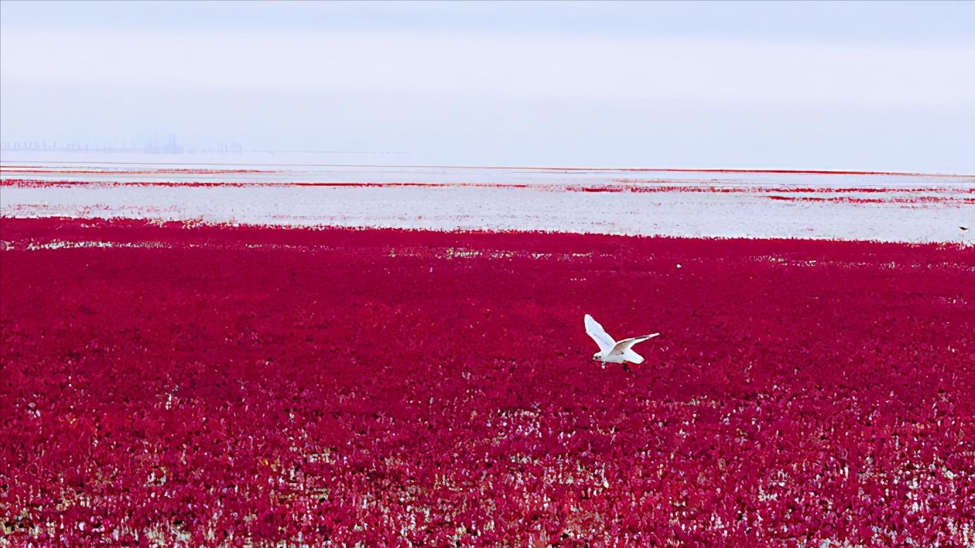辽宁省盘锦市有哪几个区,辽宁省盘锦市所辖区有哪些