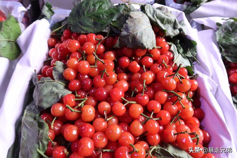 凌晨3点水果市场,贵阳水果批发市场樱桃价格