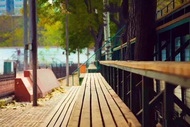 灞卞笀闄勪腑鍒嗘牎,鑿忔辰灞卞笀闄勪腑