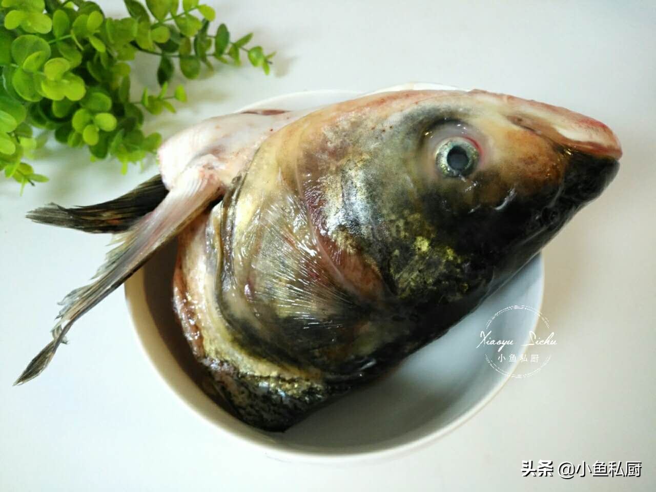 煮鱼汤用开水会腥吗,煮鱼汤为什么要用猪油