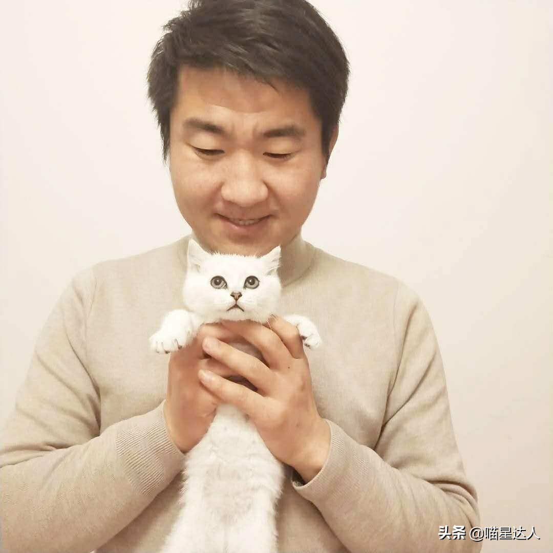 新手养猫的10个基本知识,养猫小知识第一次养猫该怎么做