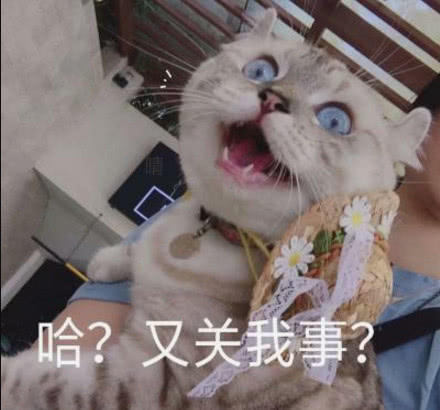 真的不容易愚人节整蛊聊天套路,愚人节整蛊段子大合集