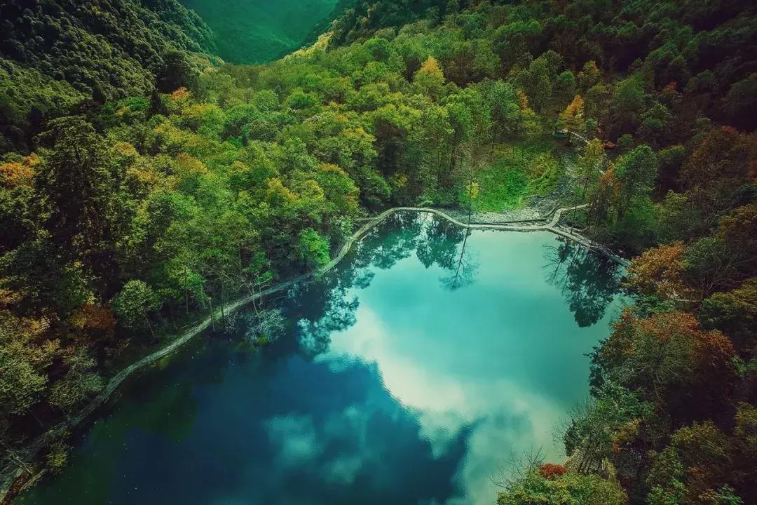 万亩杜鹃花开！邂逅野生水鹿，观云海住树屋，成都自驾3.5h就到！