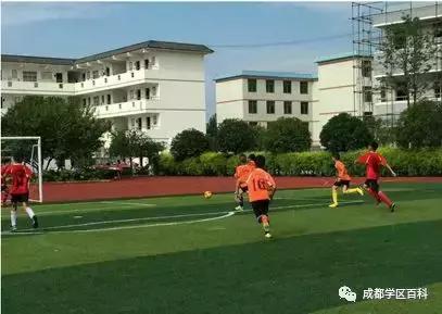 天府新区第四小学,元音小学天府新区