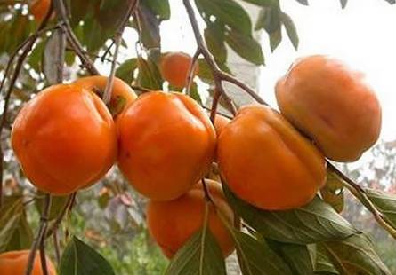 盘点北京十六区,北京哪个区最适合生活