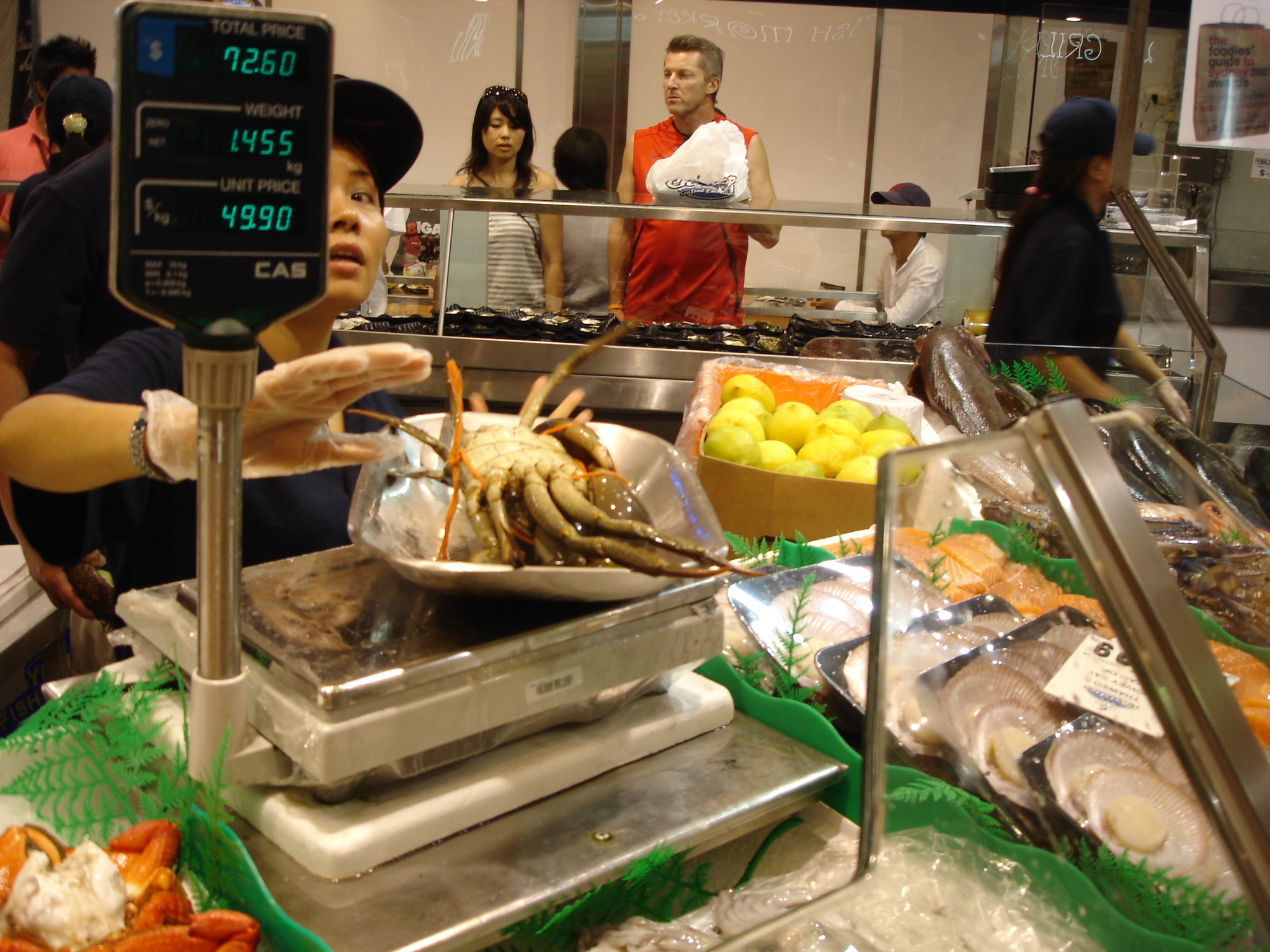 澳大利亚可以钓什么鱼,澳大利亚黄金海岸钓鱼