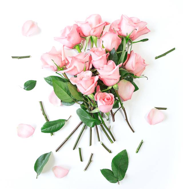 花店鲜花17°c可以放多久不浇水,花店的鲜花怎么保存更长久