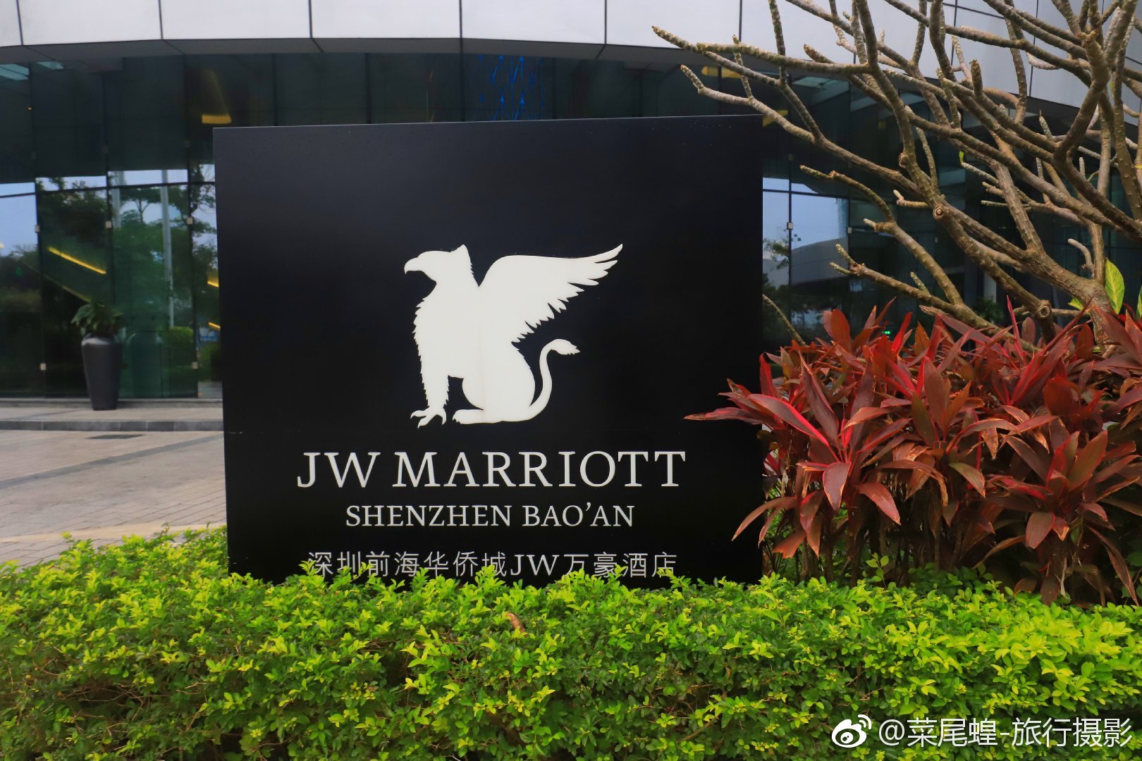 带你看深圳时装周,深圳时装周2019