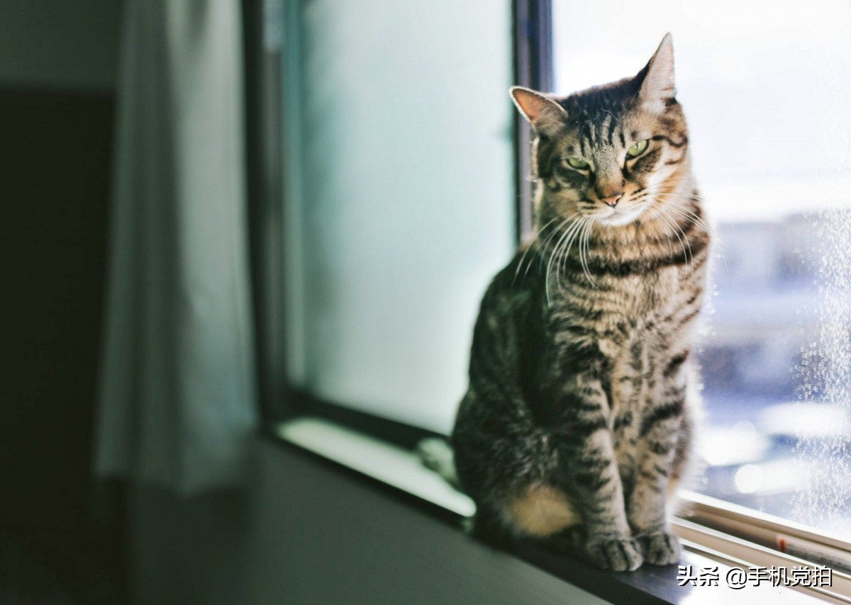 手机摄影怎么拍空房的空间感,手机黄墙拍照怎么拍出高级感
