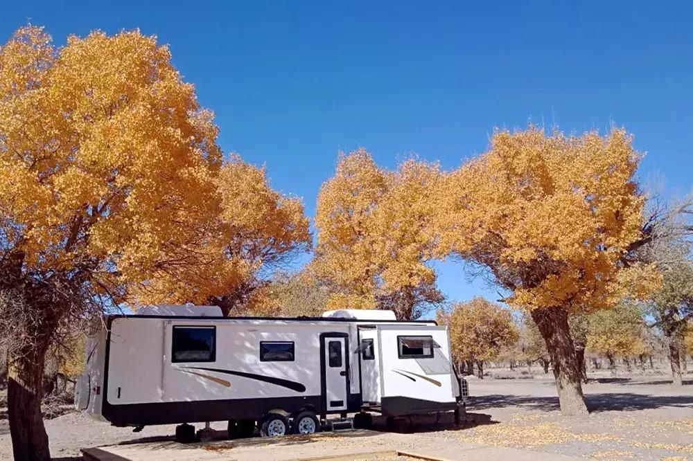 额济纳旅游自由行攻略,额济纳旗旅游最佳省钱攻略