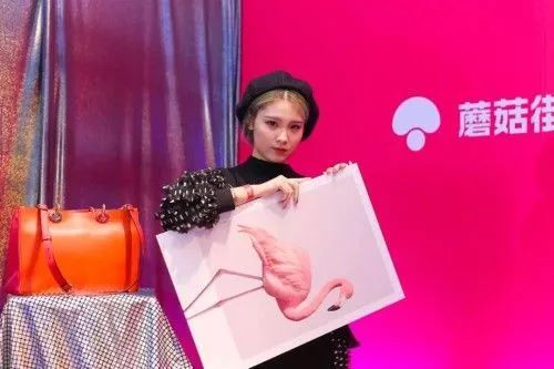 淘宝卖家蘑菇街怎么赚钱的,淘宝如何从蘑菇街引流