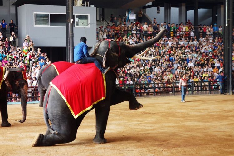 泰国十大私人园林,泰国游之旅